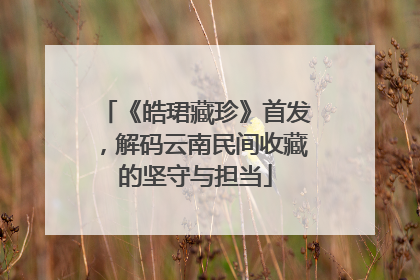 《皓珺藏珍》首发，解码云南民间收藏的坚守与担当
