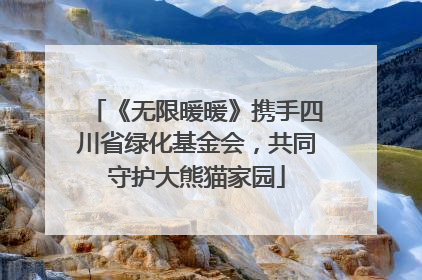 《无限暖暖》携手四川省绿化基金会，共同守护大熊猫家园