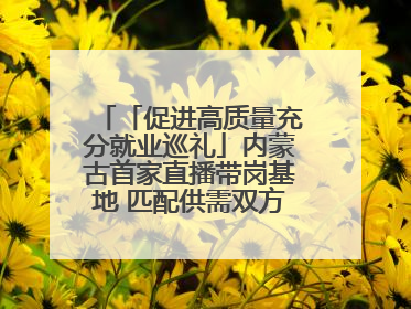 「促进高质量充分就业巡礼」内蒙古首家直播带岗基地 匹配供需双方 促进上岗就业