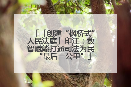 「创建“枫桥式”人民法庭」印江：数智赋能打通司法为民“最后一公里”