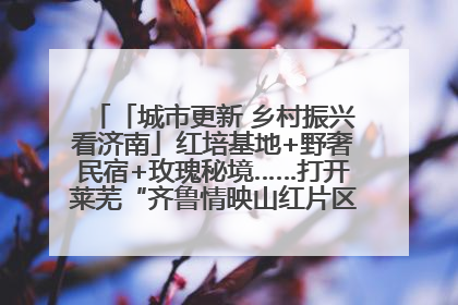 「城市更新 乡村振兴看济南」红培基地+野奢民宿+玫瑰秘境……打开莱芜“齐鲁情映山红片区”的破圈秘籍