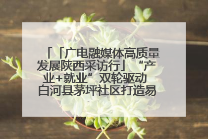 「广电融媒体高质量发展陕西采访行」“产业+就业”双轮驱动 白河县茅坪社区打造易地搬迁后扶新样本