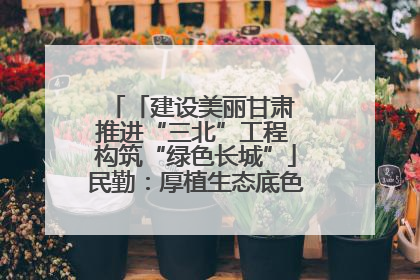 「建设美丽甘肃 推进“三北”工程 构筑“绿色长城”」民勤：厚植生态底色 筑牢绿色屏障