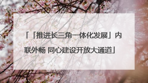 「推进长三角一体化发展」内联外畅 同心建设开放大通道