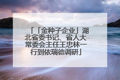 「金种子企业」湖北省委书记、省人大常委会主任王忠林一行到依瑞德调研