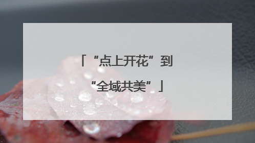 “点上开花”到“全域共美”