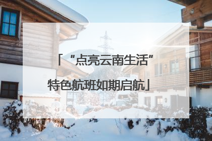 “点亮云南生活”特色航班如期启航