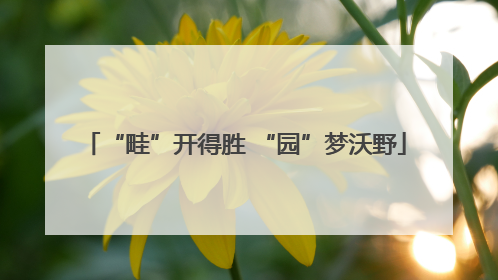 “畦”开得胜 “园”梦沃野