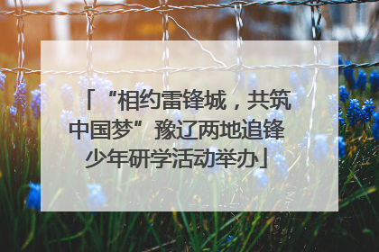 “相约雷锋城，共筑中国梦”豫辽两地追锋少年研学活动举办