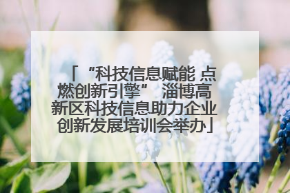“科技信息赋能 点燃创新引擎” 淄博高新区科技信息助力企业创新发展培训会举办