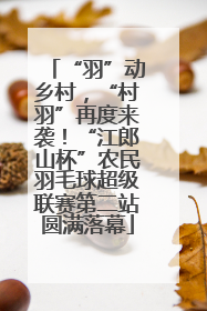 “羽”动乡村，“村羽”再度来袭！“江郎山杯”农民羽毛球超级联赛第二站圆满落幕