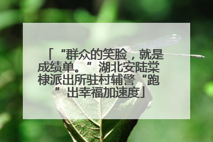 “群众的笑脸，就是成绩单。”湖北安陆棠棣派出所驻村辅警“跑”出幸福加速度