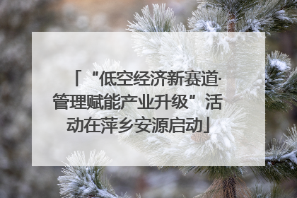 “低空经济新赛道·管理赋能产业升级”活动在萍乡安源启动
