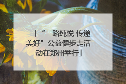 “一路纯悦 传递美好”公益健步走活动在郑州举行