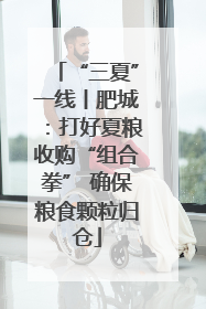 “三夏”一线丨肥城：打好夏粮收购“组合拳” 确保粮食颗粒归仓