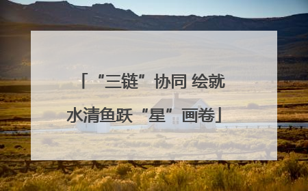 “三链”协同 绘就水清鱼跃“星”画卷