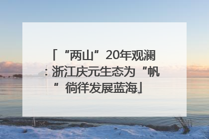 “两山”20年观澜：浙江庆元生态为“帆”徜徉发展蓝海
