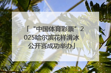 “中国体育彩票”2025哈尔滨花样滑冰公开赛成功举办