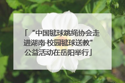 “中国毽球跳绳协会走进湖南·校园毽球送教”公益活动在岳阳举行
