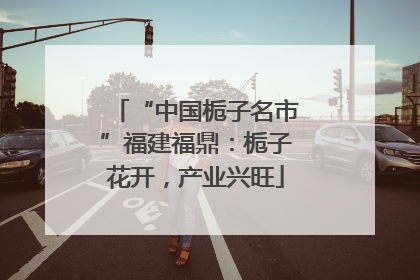 “中国栀子名市”福建福鼎：栀子花开，产业兴旺