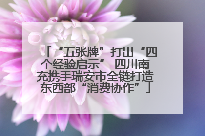 “五张牌”打出“四个经验启示” 四川南充携手瑞安市全链打造东西部“消费协作”