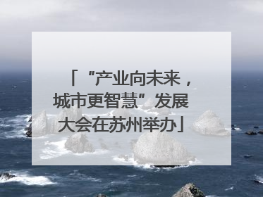 “产业向未来，城市更智慧”发展大会在苏州举办