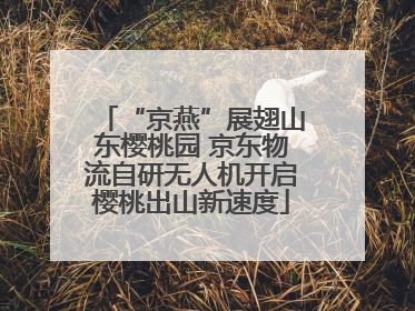 “京燕”展翅山东樱桃园 京东物流自研无人机开启樱桃出山新速度