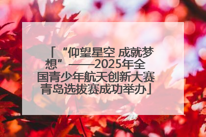 “仰望星空 成就梦想”——2025年全国青少年航天创新大赛青岛选拔赛成功举办