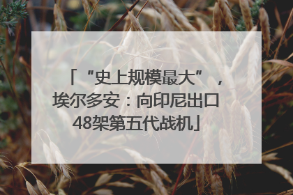 “史上规模最大”，埃尔多安：向印尼出口48架第五代战机