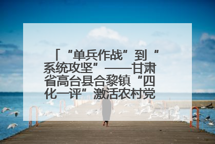 “单兵作战”到“系统攻坚”——甘肃省高台县合黎镇“四化一评”激活农村党员管理新引擎