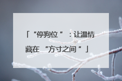 “停狗位 ”：让温情藏在 “方寸之间 ”