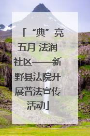 “典”亮五月 法润社区——新野县法院开展普法宣传活动