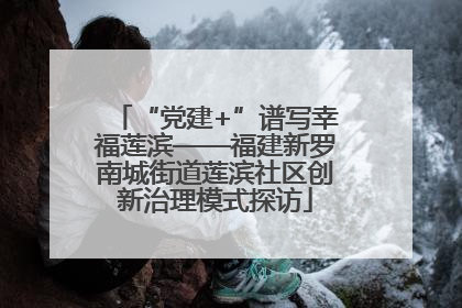 “党建+”谱写幸福莲滨——福建新罗南城街道莲滨社区创新治理模式探访