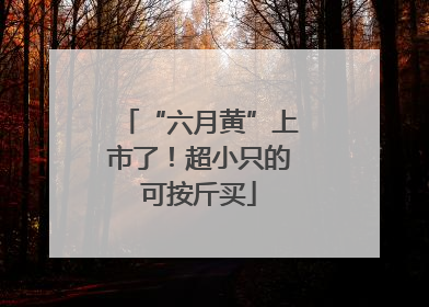 “六月黄”上市了！超小只的可按斤买