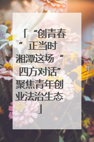 “创青春”正当时 湘潭这场“四方对话”聚焦青年创业法治生态