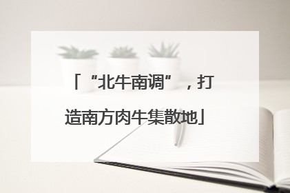 “北牛南调”，打造南方肉牛集散地