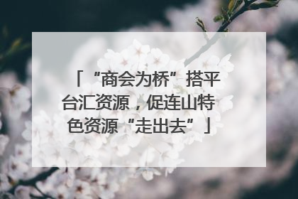 “商会为桥”搭平台汇资源，促连山特色资源“走出去”