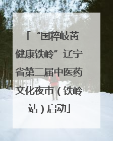 “国粹岐黄 健康铁岭”辽宁省第二届中医药文化夜市（铁岭站）启动