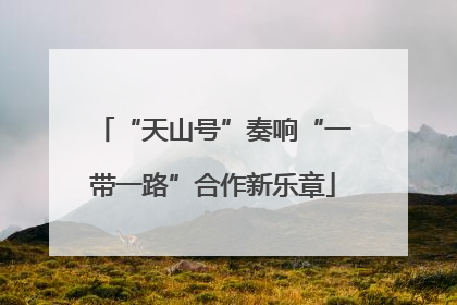 “天山号”奏响“一带一路”合作新乐章