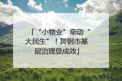 “小物业”牵动“大民生”！舞钢市基层治理显成效
