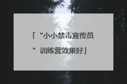 “小小禁毒宣传员”训练营效果好