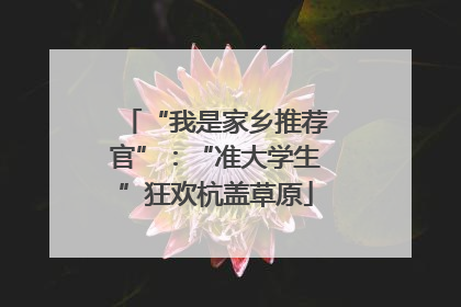 “我是家乡推荐官”：“准大学生”狂欢杭盖草原