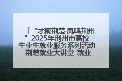 “才聚荆楚·凤鸣荆州”2025年荆州市高校生业生就业服务系列活动-荆楚就业大讲堂-就业嘉年华活动举行