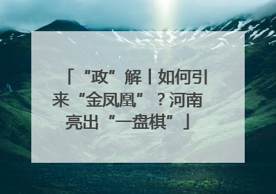 “政”解丨如何引来“金凤凰”？河南亮出“一盘棋”