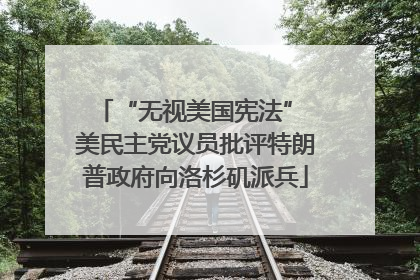 “无视美国宪法” 美民主党议员批评特朗普政府向洛杉矶派兵