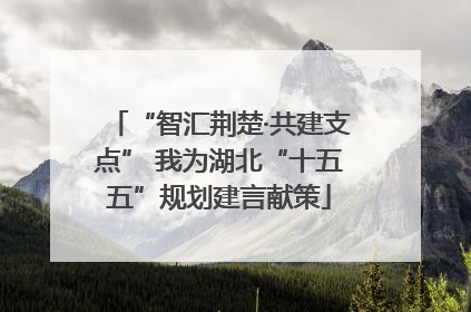 “智汇荆楚·共建支点” 我为湖北“十五五”规划建言献策