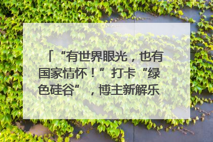 “有世界眼光，也有国家情怀！”打卡“绿色硅谷”，博主新解乐山｜网络名人四川行