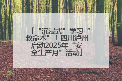 “沉浸式”学习“救命术”！四川泸州启动2025年“安全生产月”活动