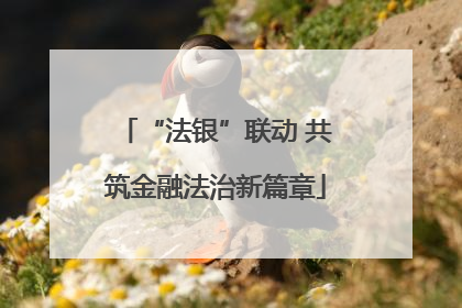 “法银”联动 共筑金融法治新篇章