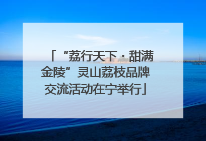“荔行天下・甜满金陵”灵山荔枝品牌交流活动在宁举行